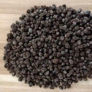 Graines de Papaye - Product Image 4