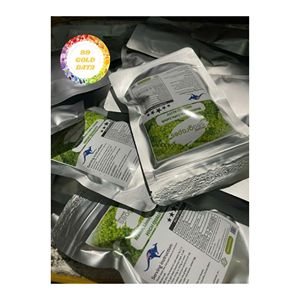 Fournisseur de raisins de mer frais du Vietnam Produit marin naturel Caviar d'algues pour restaurant de salade gastronomique et approvisionnement au détail - Product Image 1