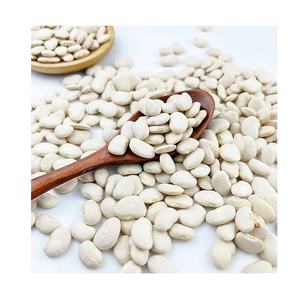 Frijoles de riñón secos blancos de tamaño pequeño a granel sin OGM Frijoles de riñón frescos para niños Snack o ingrediente perfecto - Product Image 3