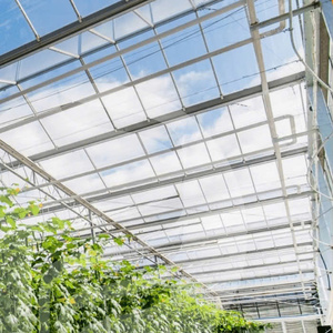 Película de Invernadero de Grado Comercial para el Cultivo General de Cultivos, Mejora la Eficiencia y Reduce los Costos de Producción - Product Image 1