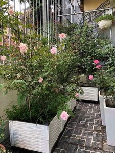 FACILE À ASSEMBLER Écologique Blanc Plantation De Légumes En Plastique Surélevé Jardin Lit Plat Emballé Fourniture De Haute Qualité Durable - Product Image 6