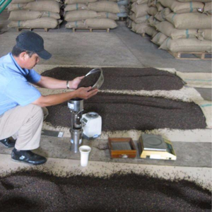 Pimienta negra Pinhead 1mm a 3mm Materia prima seca AD picante para exportación Origen de Vietnam - Product Image 3