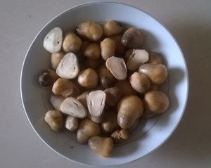 Champignons de paille surgelés au goût frais du Vietnam pour les cuisines mondiales et les importateurs - Product Image 6