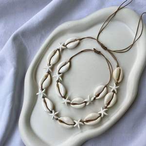 Ventas al por mayor negro/blanco/amarillo cauris conchas marinas conchas brillantes para el diseño de joyas artesanales y exhibiciones decorativas Vietnam - Product Image 1