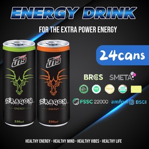 Boisson énergisante Dragon OEM/ODM de 250ml, fournisseur en gros, échantillon gratuit, sans sucre avec vitamines essentielles aromatisées AE - Product Image 4