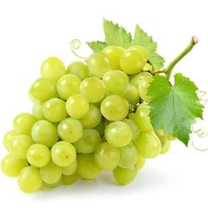 องุ่นพรีเมี่ยมคอตตอนแคนดี้ - องุ่นไร้เมล็ดขนาดใหญ่สำหรับรับประทาน - Product Image 1