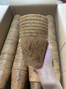 กระถางปลูกมะพร้าวแบบสั่งทำจากเวียดนาม Eco2go ขนาด - Product Image 6