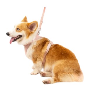 Arnés Ajustable de Nailon para Perros Medianos con Cierre de Hebilla en Color Beige - Product Image 6