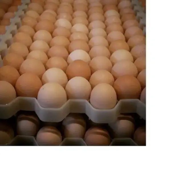 ताजा सफेद और भूरे रंग के अंडे