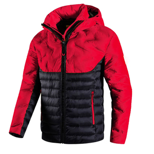 Chaqueta de Invierno para Hombre 2025, Chaqueta Acolchada Brillante con Capucha, Cierre de Cremallera, Nuevo Diseño Plus - Product Image 6