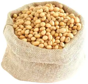 Orijinal Soya fasulyesi/ucuz fiyat Soya filizleri en çok satan Soya fasulyesi tohumlar