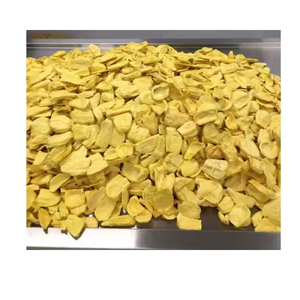 Oferta promocional: aperitivo de fruta tropical de Jaca seca de primera calidad con rico sabor y textura crujiente de Vietnam - Product Image 1