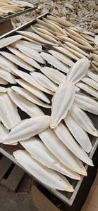 ปลาหมึกแบบแห้งสำหรับอาหารนกจากเวียดนามของเล่นนกแก้วทำจากก้างปลาธรรมชาติ - Product Image 5