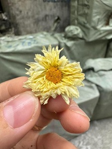 ดอกคาโมไมล์แห้งสำหรับผสมชาร้านขายงานฝีมือชุดของขวัญสีและพื้นผิวที่น่าดึงดูดสำหรับการสั่งซื้อขายส่ง - Product Image 3