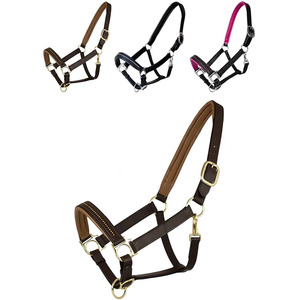 สายจูงม้าหนังแท้แบบปรับได้สำหรับกีฬาโปโล พร้อมสายรัดหัวไนลอนแบบปรับได้ บุด้วยวัสดุนุ่มสบาย ออกแบบมาเพื่อการฝึกซ้อมและกีฬา - Product Image 6