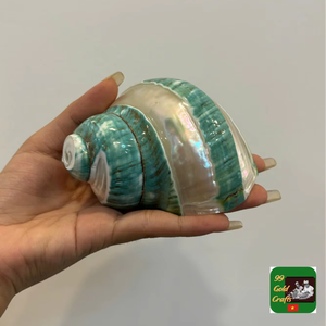 Carcasa espiral Turbo verde/MintJade pulida a mano, perfecta para Bea o Gifting Sourvenirs - Product Image 4