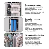 Équipement de filtration d'eau EDI 200LPH, systèmes EDI 50L, 100L, 150L, 200L, système d'eau ultra pure EDI, système d'osmose inverse RO