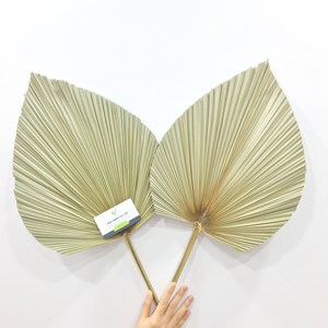 Abanico de hoja de palma de estilo bohemio, hoja de palma Natural de alta calidad para decoración de boda multiusos o uso diario - Product Image 2