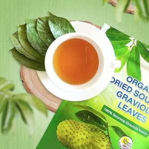 2025 Vietnam Sour Sop seco Graviola hojas producto agrícola de calidad premium en gran oferta con precio competitivo - Product Image 4
