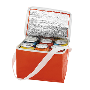 Bolsa para llevar/Cool Bag / Take Away (bolsa para llevar) - Product Image 3