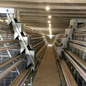 <span class=keywords><strong>Poulailler</strong></span> à 3/4/5 niveaux de type A pour 96/120/128/160 poules pondeuses, cage à poules avec équipement d'alimentation automatisé pour poules pondeuses - Product Image 4