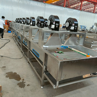 Séchoir à air continu automatique pour légumes et fruits avec souffleur de refroidissement à bande transporteuse