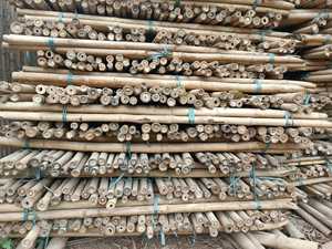 Rollos de valla de bambú ecológico de Vietnam | Postes de bambú natural para proyectos de división de espacio de patio y jardín con buena oferta - Product Image 5