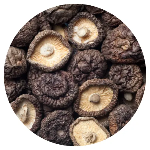 Chất lượng cao Shiitake Nấm/Việt Nam Shiitake mussroom/giá tốt khô nấm Shiitake-MS. Shyn tran + 8438