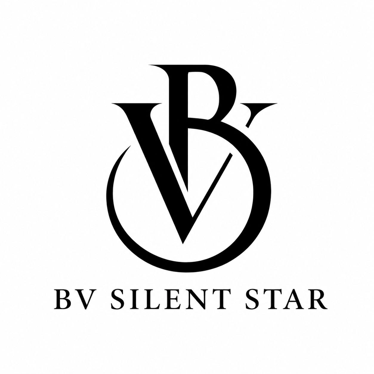 BV SILENT STAR logo