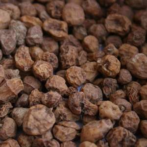 Noix de Chufa Vertes de Qualité Supérieure Grande Taille, Nettoyées et Triées, Vente en Gros, Exportation - Product Image 3