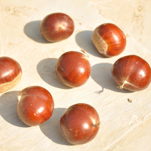 Châtaignes pelées biologiques, collation fraîche et sèche, châtaignes brutes biologiques saines, prix de gros compétitif, en vente - Product Image 6