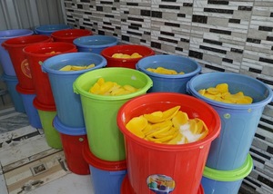 มะม่วงอบแห้งออร์แกนิคพรีเมียมจากเวียดนาม หั่นเป็นชิ้น เนื้อนุ่ม หวานน้อย บรรจุภัณฑ์แบบแพ็คใหญ่สำหรับส่งออก - Product Image 2