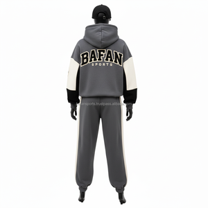 Haute qualité 320 GSM femmes deux pièces survêtement chaud polaire tissu gris Beige panneaux Logo personnalisé brodé survêtements grande taille - Product Image 2