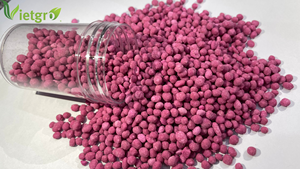Fertilizante Compuesto VGF NPK 15-15-15 - Fertilizante Granular de Vietnam - Color: Rosa - 50KG OEM - Product Image 3