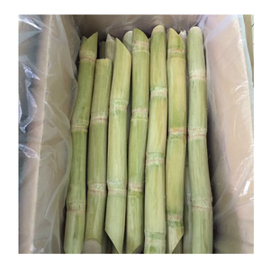 Vietnam dondurulmuş şeker kamışı işlenmiş dondurulmuş şeker kamışı parçaları içecek işleme hatları için ihraç - Product Image 2