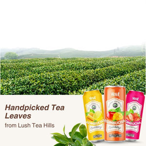 วินุท คอมบูชา ชาดำผสมมะม่วง ขนาด 250 มล. เครื่องดื่มอัดลม ขายส่ง ผู้ผลิตและผู้จัดจำหน่าย รับผลิตแบบ OEM ODM แบรนด์ส่วนตัว - Product Image 4