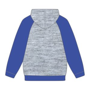 Año de Fundación 1922 Sigma Gamma Rho Grey Body Blue Raglan Sleeves Pullover Sudadera con capucha SGRho Sorority Apparel Divine Nine HBCU - Product Image 3