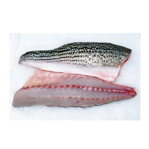 Fournisseur de fruits de mer de première qualité, brème de mer congelée. Poisson de la mer Rouge entier, filet, sans peau, sans arêtes et sans tête - Product Image 3