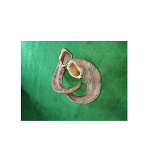 ของตกแต่งรูปเขาแกะและของติดผนัง - Product Image 6