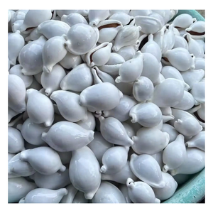 0084935825297คาร์ไลล์ธรรมชาติทำจากเปลือกหอยมุกขัดเงาพร้อมวัสดุเทอร์โบหยก - Product Image 4