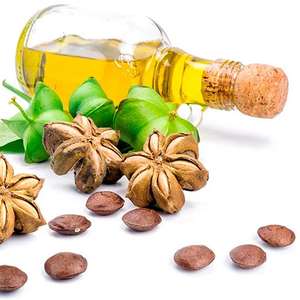 HUILE SACHI DE QUALITÉ SUPÉRIEURE AU MEILLEUR PRIX DU VIETNAM PRÊT À EXPORTER EN VRAC - Product Image 2