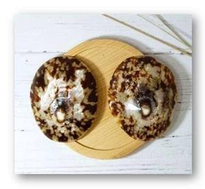 Carcasa de Lapa de grado superior con certificación orgánica para un estilo de vida humano saludable y decoración natural - Product Image 1