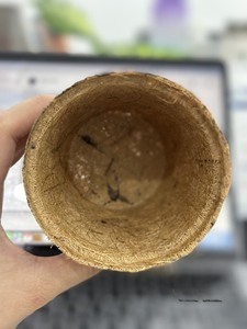 Fourniture en vrac pot en fibre de coco bon marché/pot en fibre de coco biodégradable/pot en fibre de coco de fabricant vietnamien - Product Image 4