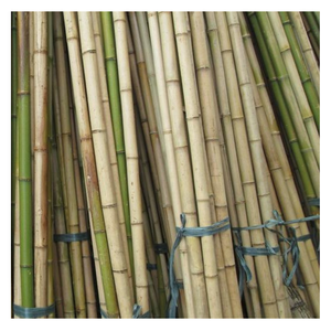 Materias primas ecológicas, venta al por mayor, postes de bambú de Vietnam, Poste/caña/palo/Estaca de bambú Natural 100%, valla de bambú 2024 - Product Image 3