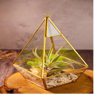 Terrarium géométrique en verre aux multiples facettes avec formations rocheuses naturelles; aménagement paysager. Disponible aux prix de gros. - Product Image 3