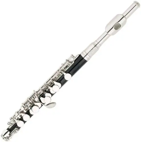 Black Resin Key of C Piccolo with Nickel Plated Keys with Case,Half-size Flute