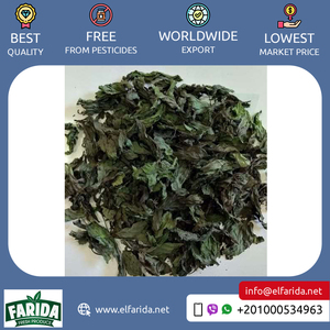 Hojas de menta triturada de alta calidad, especias secas individuales más vendidas de Egipto, sabor de té de procesamiento crudo, precio de mercado al por mayor - Product Image 2