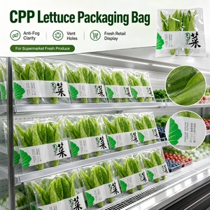 Bolsas de Embalaje para Vegetales de Grado Alimenticio con Orificios de Ventilación Transparentes Autoadhesivas Antivaho BOPP, Impresión de Logotipo Personalizado - Product Image 1