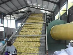 เครื่องเป่าสายพานลำเลียงอัตโนมัติสำหรับการอบแห้งที่มีประสิทธิภาพของพุทราและโกจิเบอร์รี่ - Product Image 2