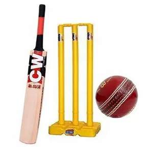 จิ้งหรีดไม้สปริง wickets 3ตอ2ใบตามมาตรฐานสากล - Product Image 3